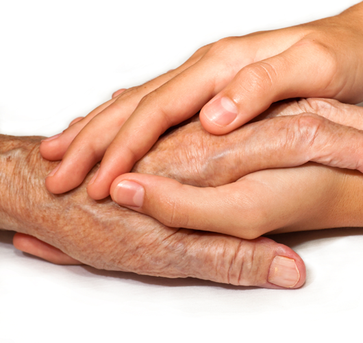 Living Trust Wills